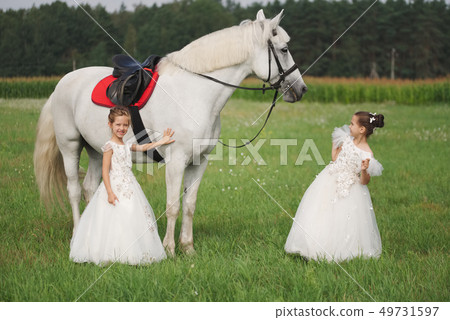 little princess with white horse in summer field 49731597