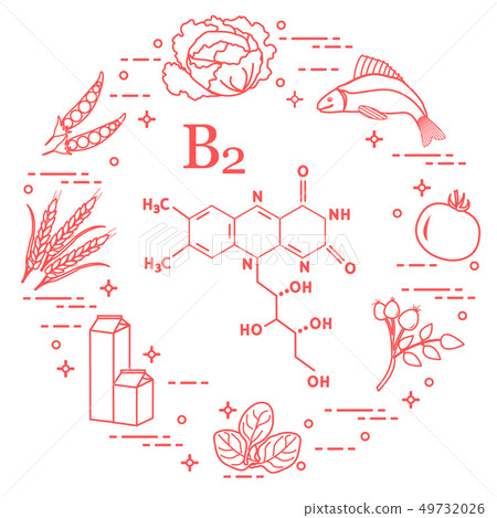 Foods rich in vitamin B2 Fish, peas and other. 49732026