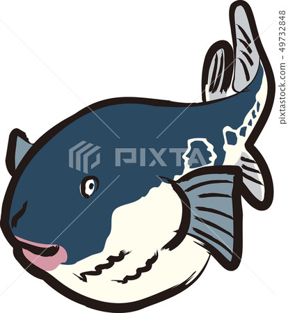 Puffer fish 49732848