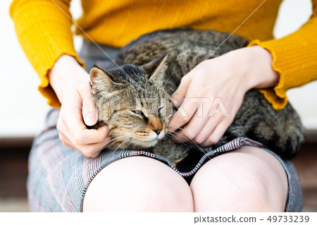 Girl's Journey Onomichi Cat Sleeping on Knee Girl's Journey Onomichi Cat Sleeping on Knee 49733239