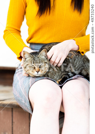 Girl's Journey Onomichi Cat Sleeping on Knee Girl's Journey Onomichi Cat Sleeping on Knee 49733240