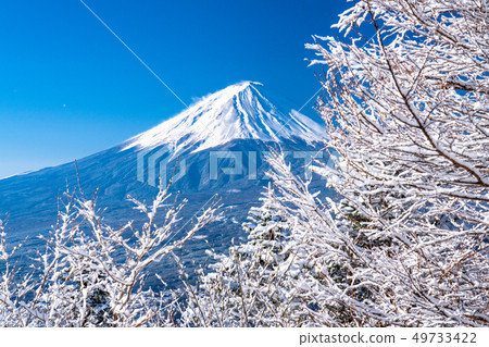 山梨县 日本的冬天 富士山和白霜 图库照片