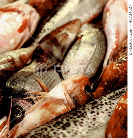 Raw Fish on Market Table 49734327