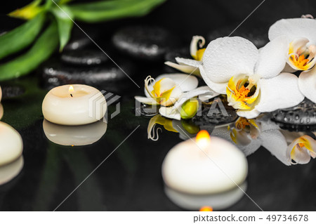 spa composition of white orchid (phalaenopsis), spa composition of white orchid (phalaenopsis), 49734678