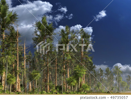 Forest of the mesozoic era 3D illustration 49735057