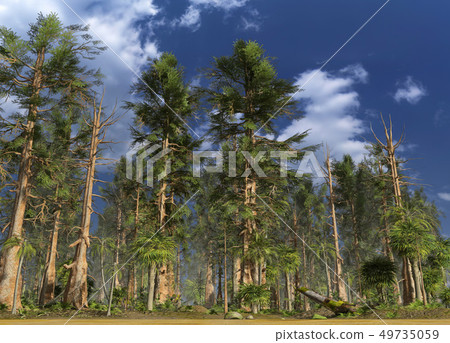 Forest of the mesozoic era 3D illustration 49735059