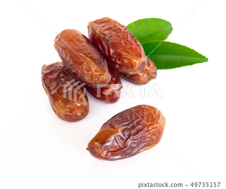 Date palm isolated on white blackground Date palm isolated on white blackground 49735157