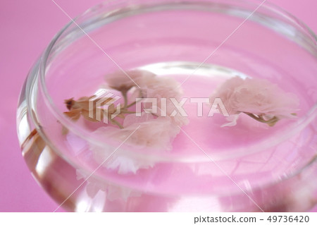 Sakura Yu Sakura Yu 49736420