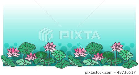 蓮花架7 蓮花架7 49736517
