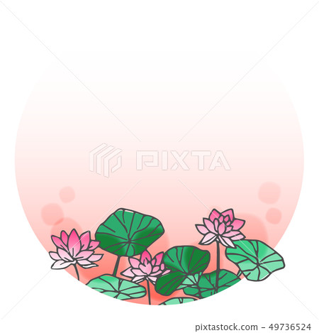 Lotus frame 1 49736524