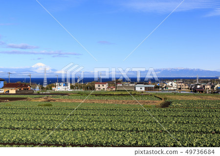 Field (spring) Field (spring) 49736684