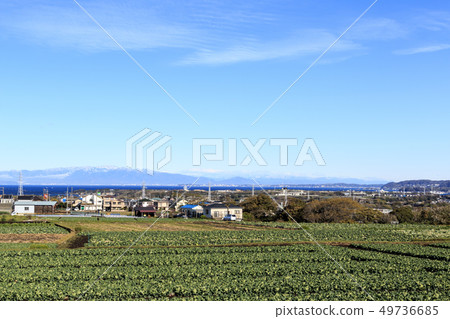 Field (spring) 49736685