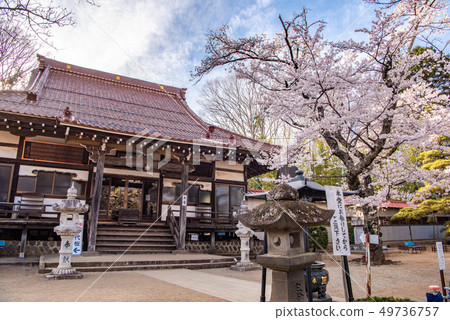 Hokuto City, Yamanashi Prefecture 49736757