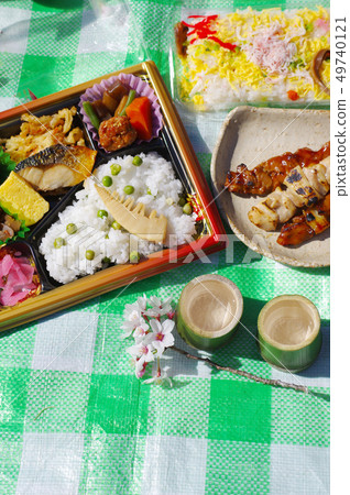 Hanami and cold sake 49740121