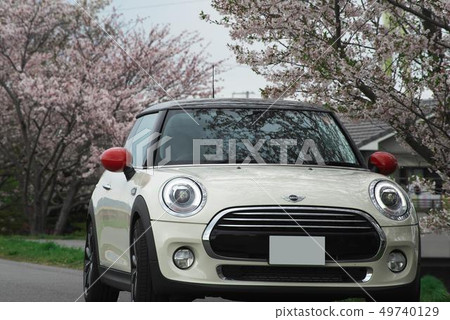 櫻花樹和迷你木桶匠 49740129