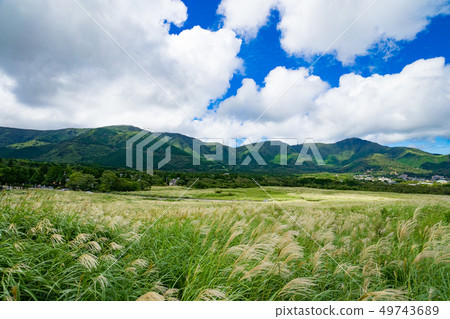 Summer sky and Sengokuhara's Suki Summer sky and Sengokuhara's Suki 49743689