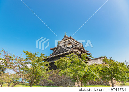 Matsue castle castle tower Matsue castle castle tower 49743784