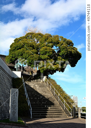 Yokohama · Honka-ji 49744118