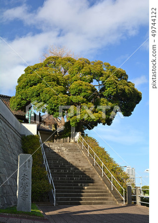 Yokohama · Honka-ji Yokohama · Honka-ji 49744122