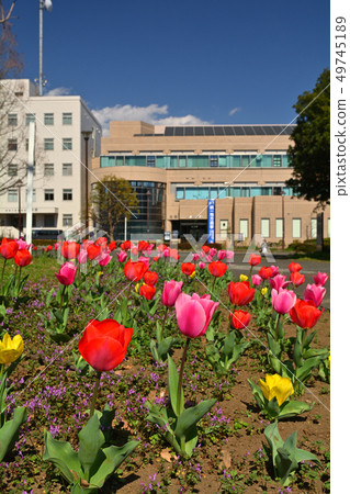 橫濱反町公園 49745189