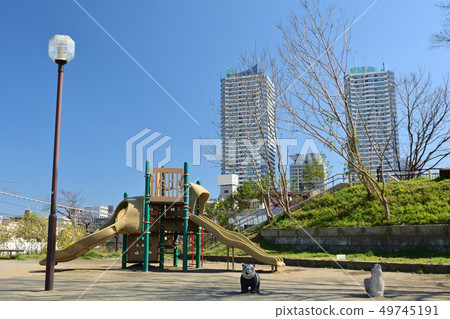 Yokohama - Kukigaya Park 49745191