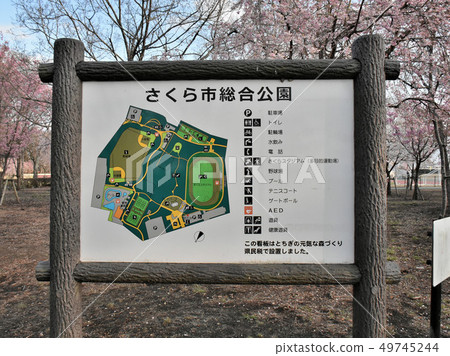 To木縣佐倉市佐倉市運動公園,截至2019年5月 To木縣佐倉市佐倉市運動公園,截至2019年5月 49745244