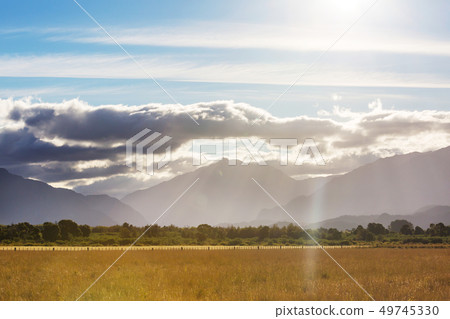 Field in Argentina 49745330