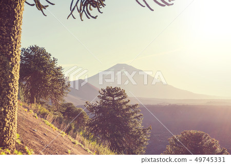 Chile landscape 49745331