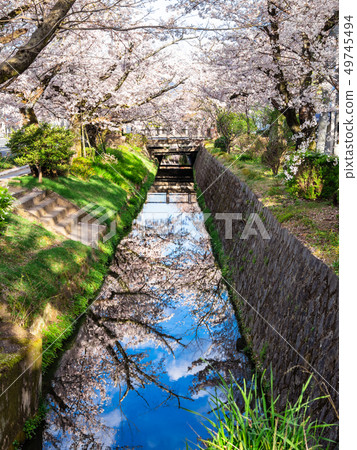 Kyoto's path of philosophy in spring Kyoto's path of philosophy in spring 49745494