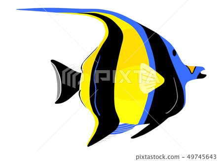 Moorish idol fish. Zanclus cornutus. Vector illustration 49745643