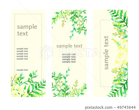 植物插圖框架（水彩風格） 49745644