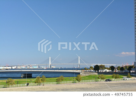 Yokohama / Shinchakoga Island Yokohama / Shinchakoga Island 49745755