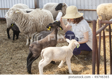 女生 女孩 女性 49746365
