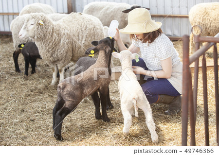 女生 女孩 女性 49746366