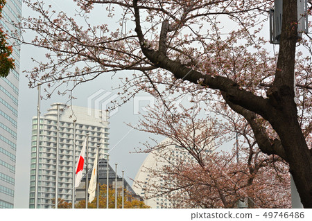 Yokohama Yokohama 49746486
