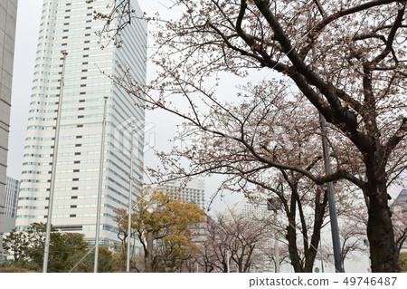 橫濱 橫濱 49746487