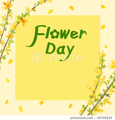 Forsythia Backgrounds - Advertising, Posters, Wedding Invitations, Banners 49746924