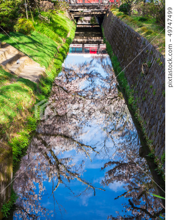 Kyoto's path of philosophy in spring Kyoto's path of philosophy in spring 49747499