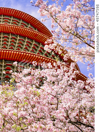 台灣的春天 49747598