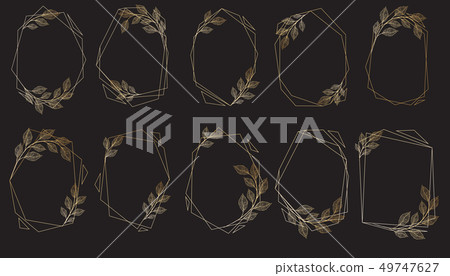 Vector designer elements set collection of greeng leaves herbs 49747627