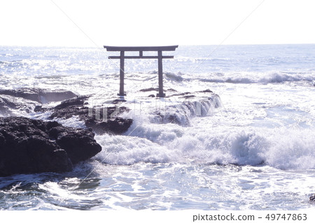 Oarai海灘的鳥居 49747863