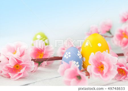 Easter eggs and pink flowers decoration on blue background 49748633