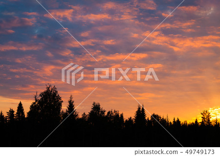 Beautiful clouds at sunrise in nature 49749173