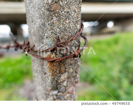 Barbed wire 49749658