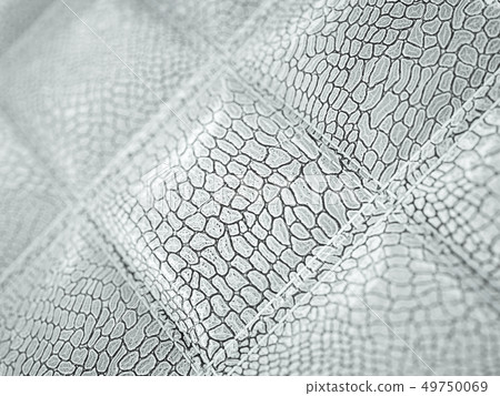 Alligator or crocodile Leather Square stitched Alligator or crocodile Leather Square stitched 49750069