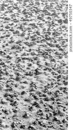 in ethiopia africa the volcanic lake closeup in ethiopia africa the volcanic lake closeup 49750347