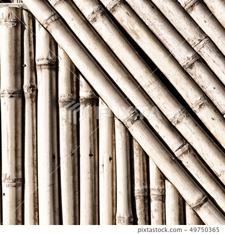 abstract texture background of the bamboo wall abstract texture background of the bamboo wall 49750365