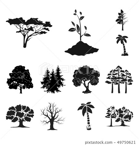 Vector illustration of tree  and forest logo. Collection of tree  and green vector icon for stock. 49750621