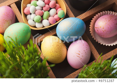Colourful easter eggs painted in pastel colors 49751287
