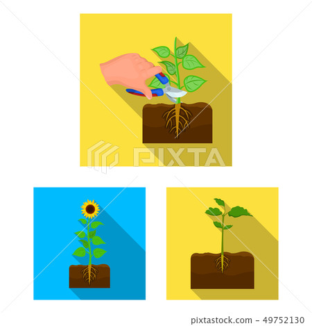 Vector illustration of plant and bean sign. Set of plant and process vector icon for stock. Vector illustration of plant and bean sign. Set of plant and process vector icon for stock. 49752130